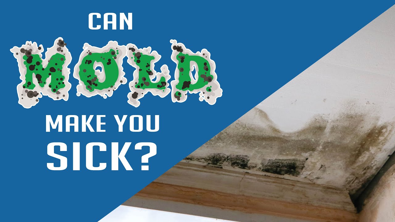 Can Mold make you sick?