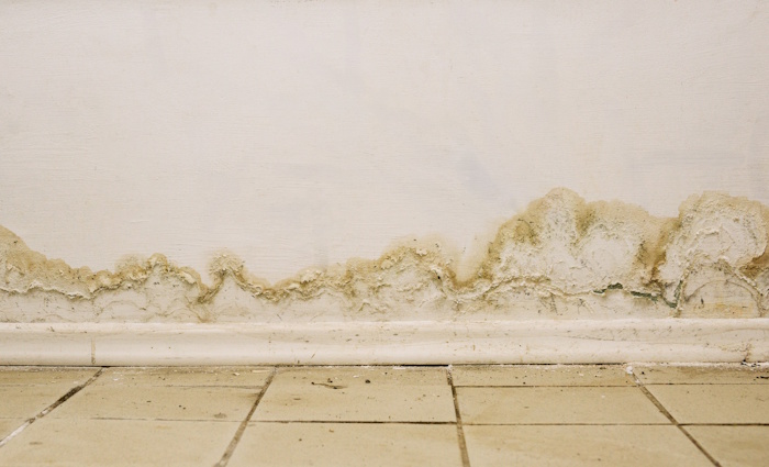 Wet Basement, Water Intrusion, Groundwater, Rain, Snow, Snow Melt, Snowmelt, home, house, basement, basement waterproofing, waterproofing