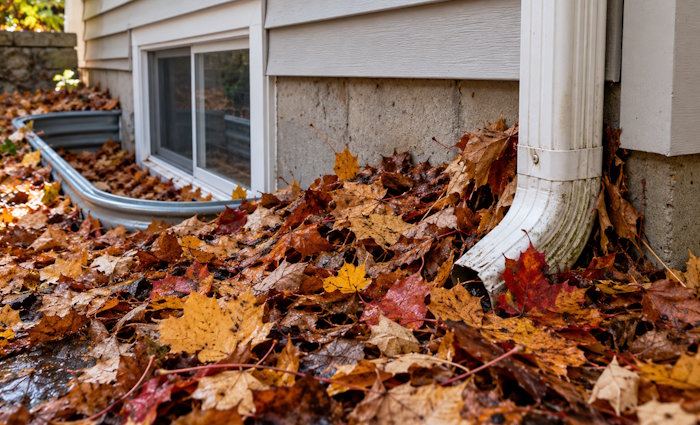 fall, house, fall leaves, fall home damage, fall home tips, fall home maintenance, home, house, Disaster Blaster